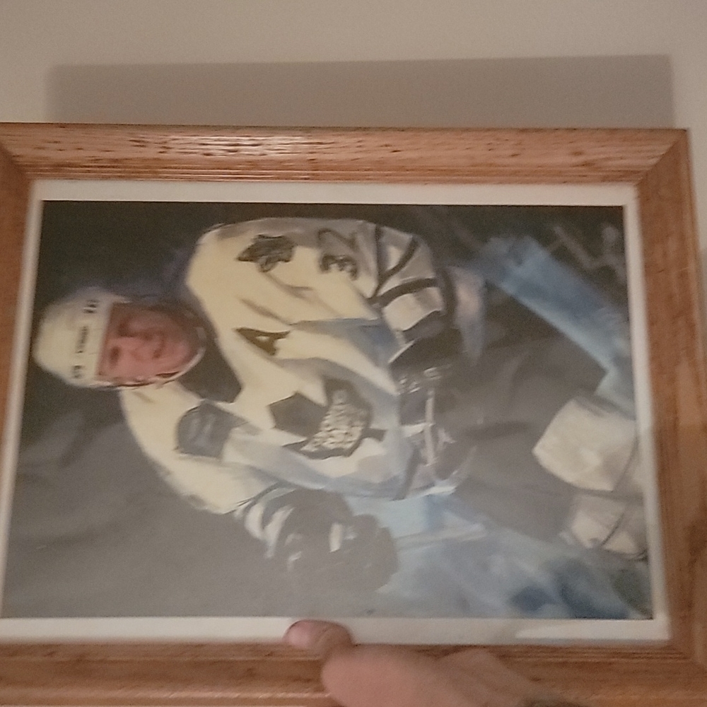 Toronto Maple Leafs picture